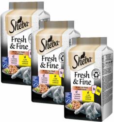 Sheba Sheba Fresh & Fine capsule pentru pisici, pui și somon 3 x (6 x 50 g)
