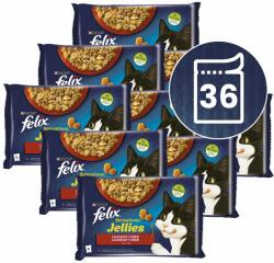 FELIX FELIX Sensations Jellies pliculețe, selecție delicioasă în gelatină 36 x 85 g