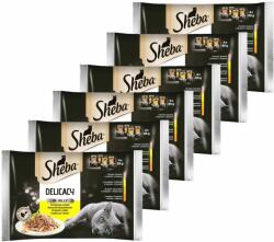 Sheba Sheba Delicacy Selecție de pungi din păsări de curte 6 x (4 x 85 g)