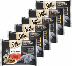 Sheba Sheba Selection Selecție suculentă de pungi 6 x (4 x 85 g)