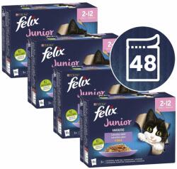 FELIX Felix Fantastic Junior selecție delicioasă 48 x 85 g