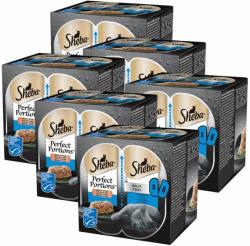 Sheba Sheba Perfect Portions cu ton pentru pisici adulte 6 x (3 x 75 g)