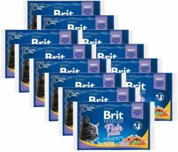 Brit Pliculeț BRIT Premium Cat Fish Plate 12 x (4 x 100 g)
