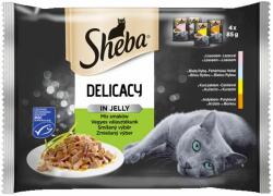 Sheba Sheba Delicacy capsule pentru pisici, selecție mixtă în jeleu 4 x 85 g