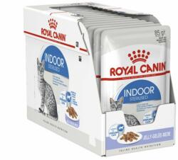 Royal Canin Royal Canin Indoor Sterilised In Jelly Pliculeț 12 x 85 g