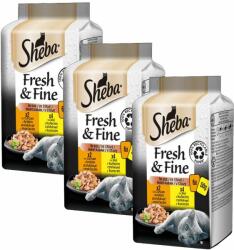 Sheba Sheba Fresh & Fine capsule pentru pisici, pui și curcan 3 x (6 x 50 g)