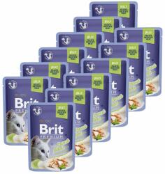 Brit Pungă BRIT Premium Cat Păstrăv în jeleu 12 x 85 g