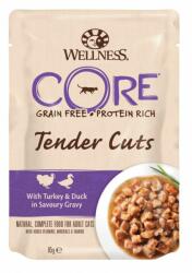 Wellness Core Wellness CORE Tender Cuts Curcan & Rață 85 g