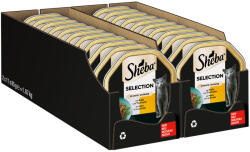 Sheba Sheba Megapack Tăvițe 22 x 85 g - Sos cu vițel & curcan