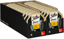 Sheba Sheba Megapack Tăvițe 44 x 85 g - Bucățele de curcan în sos alb