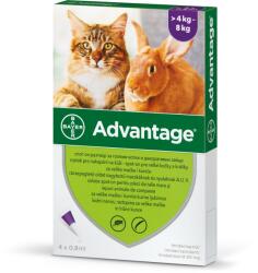 Advantage bolha elleni spot-on 4kg feletti macskáknak 1x0, 8ml