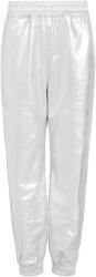 AllSaints Pantaloni 'YARA' argintiu, Mărimea 10