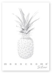 Pigna Füzet Pigna Monocromo Silver A/4 tűzött 38 lapos kockás (02330575M) - papir-bolt