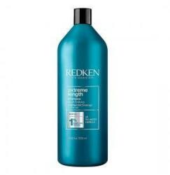 Redken Șampon Redken (1000 ml)