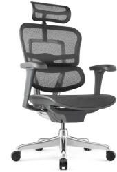 Antares ERGOHUMAN II Project ergonomikus irodai szék, Fekete
