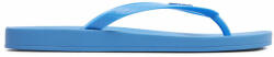 Ipanema Flip flop Ipanema 82591 Blue/Blue AQ600