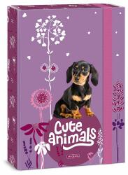 Ars Una füzetbox A4 - Cuki állatok - Puppy