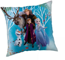  Disney Jégvarázs Family párnahuzat 40x40 cm Velúr (JFK036501)