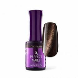 Perfect Nails LacGel perfect 8ml Cat Eye Ilusion C007