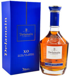 Delamain XO decanter cognac (0, 7L / 40%) - goodspirit