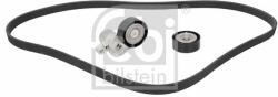 Febi Bilstein Set curea transmisie cu caneluri FEBI BILSTEIN 184895 (184895)