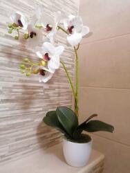 Orchidea 1 szálas 2 ágú fehér bordó középpel (013ag)