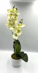 Orchidea 1 szálas 2 ágú zöldes árnyalatban (odz)