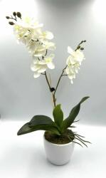 Orchidea 1 szálas 2 ágú fehér (odf)