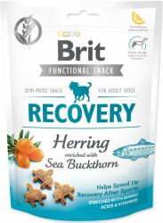 Brit Treat Brit Care Dog Functional Snack Recovery Hering 150g (294-111426)