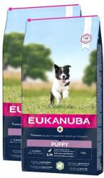 EUKANUBA Eukanuba Puppy & Junior Small/Medium Lamb & Rice 2 x 12 kg