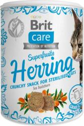 Brit Care Cat Snack Superfruits hering 100g (293-100653)