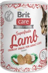 Brit Care Cat Snack Superfruits bárány 100g (293-100651)