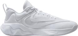Nike GIANNIS IMMORTALITY 3 Kosárlabda cipő dz7533-102 Méret 48 EU dz7533-102