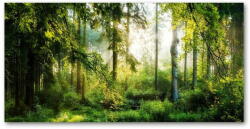  Wallmuralia. hu Akril üveg kép A reggeli nap erdő 125x50 cm 2 fogantyú