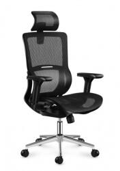 Mark Adler Ergonomikus ortopéd kényelmes irodai szék Expert 6.2 irodai szék, deréktámasz Fekete (Expert-62-Black)