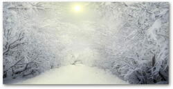 Wallmuralia. hu Akril üveg kép Gyönyörű téli erdőben 140x70 cm 2 fogantyú