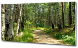  Wallmuralia. hu Üvegfotó Az út az erdőben 125x50 cm 4 fogantyú