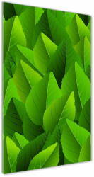  Wallmuralia. hu Photo kép üveg Zöld levelek 70x100 cm 2 fogantyú