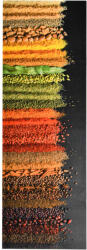 vidaXL "Spice" mosható konyhai szőnyeg 60 x 180 cm (323476)