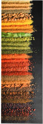 vidaXL "Spice" mosható konyhai szőnyeg 45 x 150 cm (323475)