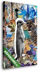 Vászonkép: Premium Kollekció: Meerkat (MenzArt)(100x145 cm)