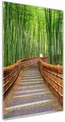  Wallmuralia. hu Üvegfotó Bambusz erdő 70x100 cm 2 fogantyú