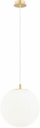 Argon Evans lampă suspendată 1x15 W alb 8578