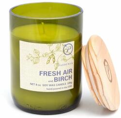 Paddywax illatgyertya szójaviaszból Fresh Air & Birch 226 g - zöld Univerzális méret
