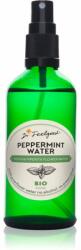 Dr. Feelgood BIO Peppermint apă florală calmantă cu menta 100 ml