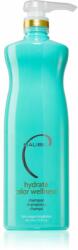Malibu C Hydrate Color Wellness tisztító sampon festett hajra 1000 ml