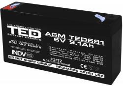 TED Electric Acumulator 6V Stationar VRLA, Dimensiuni 151 x 34 x 95 mm, Baterie 6V 9.1Ah F2, TED Electric TED002990 (A0058595)