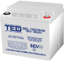 TED Electric Acumulator 12V GEL Deep Cycle, Dimensiuni 197 x 166 x 171 mm, Baterie 12V 46Ah M6, TED Electric TED003454 (A0058591)
