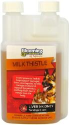  Blooming Pets Milk Thistle - Őszbogáncs (Máriatövis) tinktúra a májműködés támogatására 250 ml