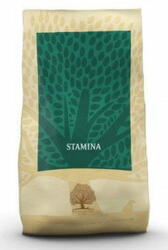 Essential Foods Essential Stamina 10kg